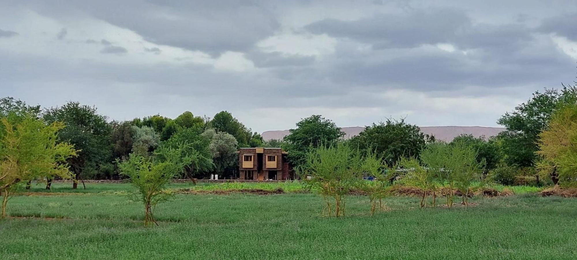 Foresta Atacama Lodge Сан-Педро-де-Атакама Екстер'єр фото