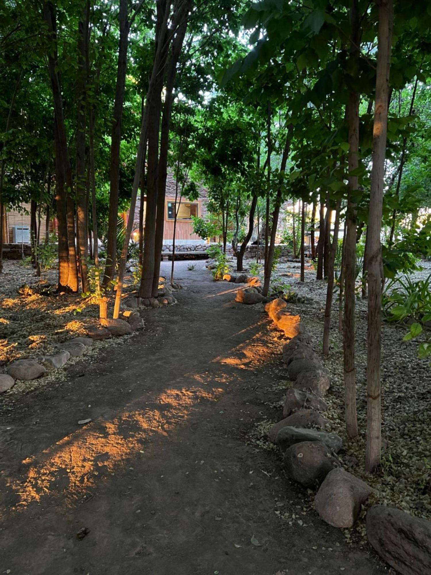 Foresta Atacama Lodge Сан-Педро-де-Атакама Екстер'єр фото